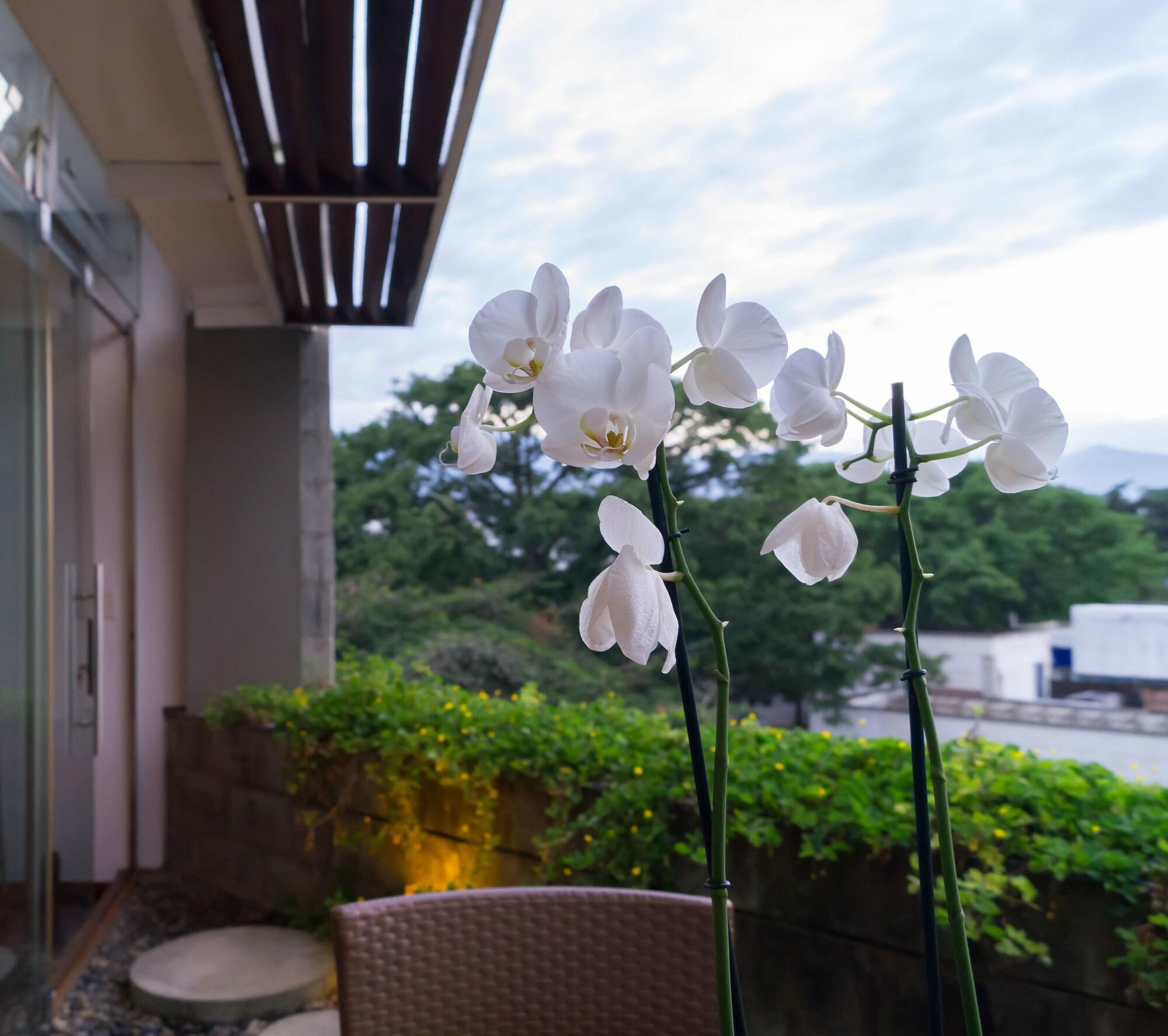 Acquasanta Lofts Hotel Cali Εξωτερικό φωτογραφία